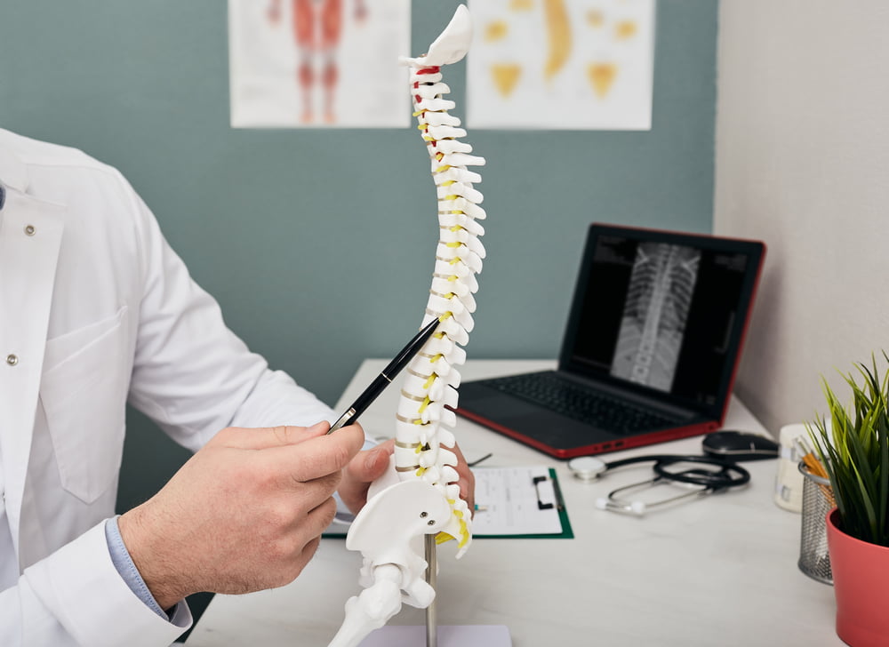 Decoding the Science of Chiropractic Care: Understanding How It Works ...